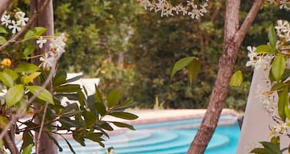 Podere Maraviglia, a 16th Century Olive Oil Farm Fully immersed in Nature