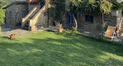 Podere Maraviglia, a 16th Century Olive Oil Farm Fully immersed in Nature