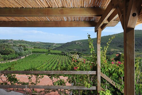 House in the vineyard with sea view (2)