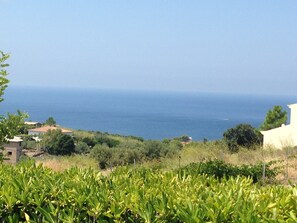 Miscellaneous - House in the vineyard with sea view (2) (Magomadas)