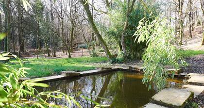 GĂźtes 2 personnes au pied de la forĂȘt de Camors - Le ChĂȘne