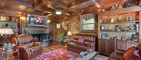 Smart TV, fireplace, books