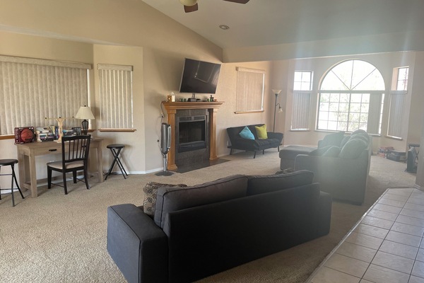 Smart-tv, pejs, videospil, dvd-afspiller