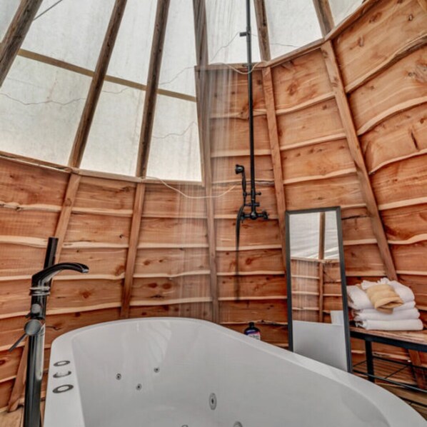 Combined shower/bathtub, hair dryer, towels