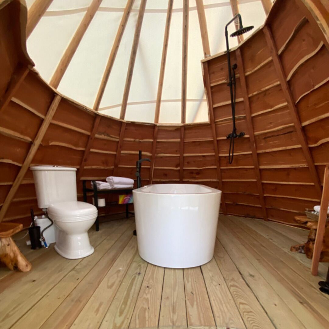 Combined shower/tub, hair dryer, towels