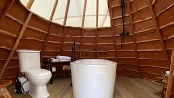Combined shower/tub, hair dryer, towels