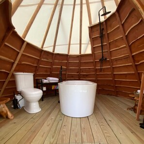 Combined shower/tub, hair dryer, towels