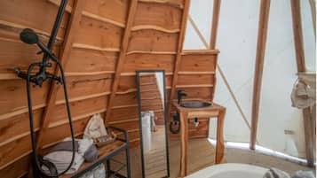 Combined shower/bathtub, hair dryer, towels