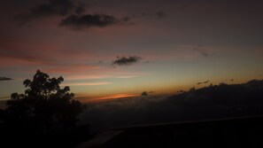 Miscellaneous - Beautiful house and a nice terrace in a forest (El Gramal)