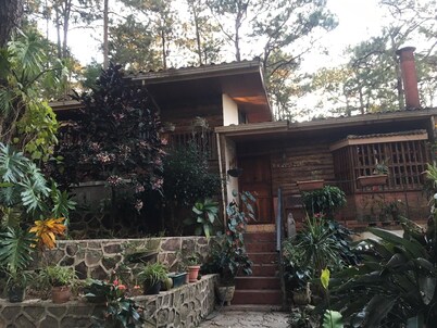 Beautiful house and a nice terrace in a forest