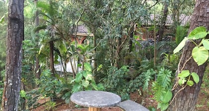 Beautiful house and a nice terrace in a forest
