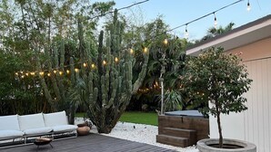 Una terraza de madera con un sofá blanco, un cactus grande y una maceta.