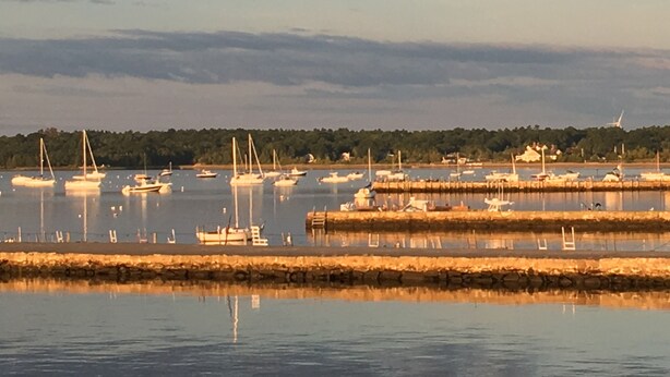 A marina with multiple boats docked, calm water, and a forested shoreline in the background.