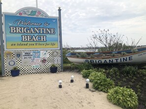 在海灘附近、躺椅