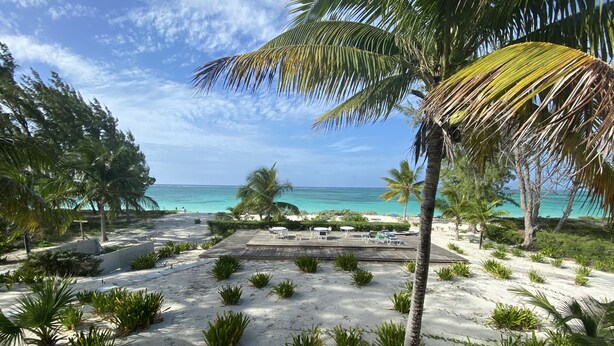 Une vue sur la plage, avec des palmiers, un espace piscine et un ciel dégagé.