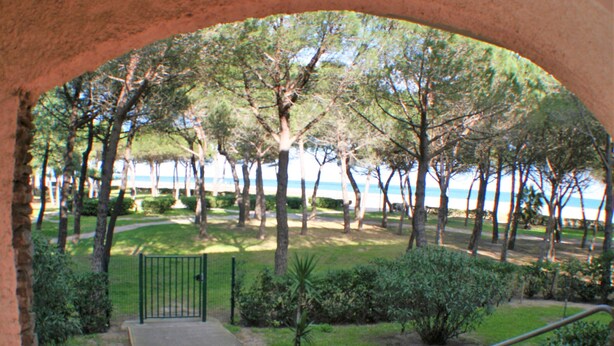 Un sendero que lleva a un parque con árboles y vista al mar.