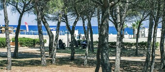 Rejuvenate, amaze and delight. The sun of Roussillon