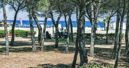 Se ressourcer, sâĂ©tonner, se rĂ©galer. Le soleil du Roussillon