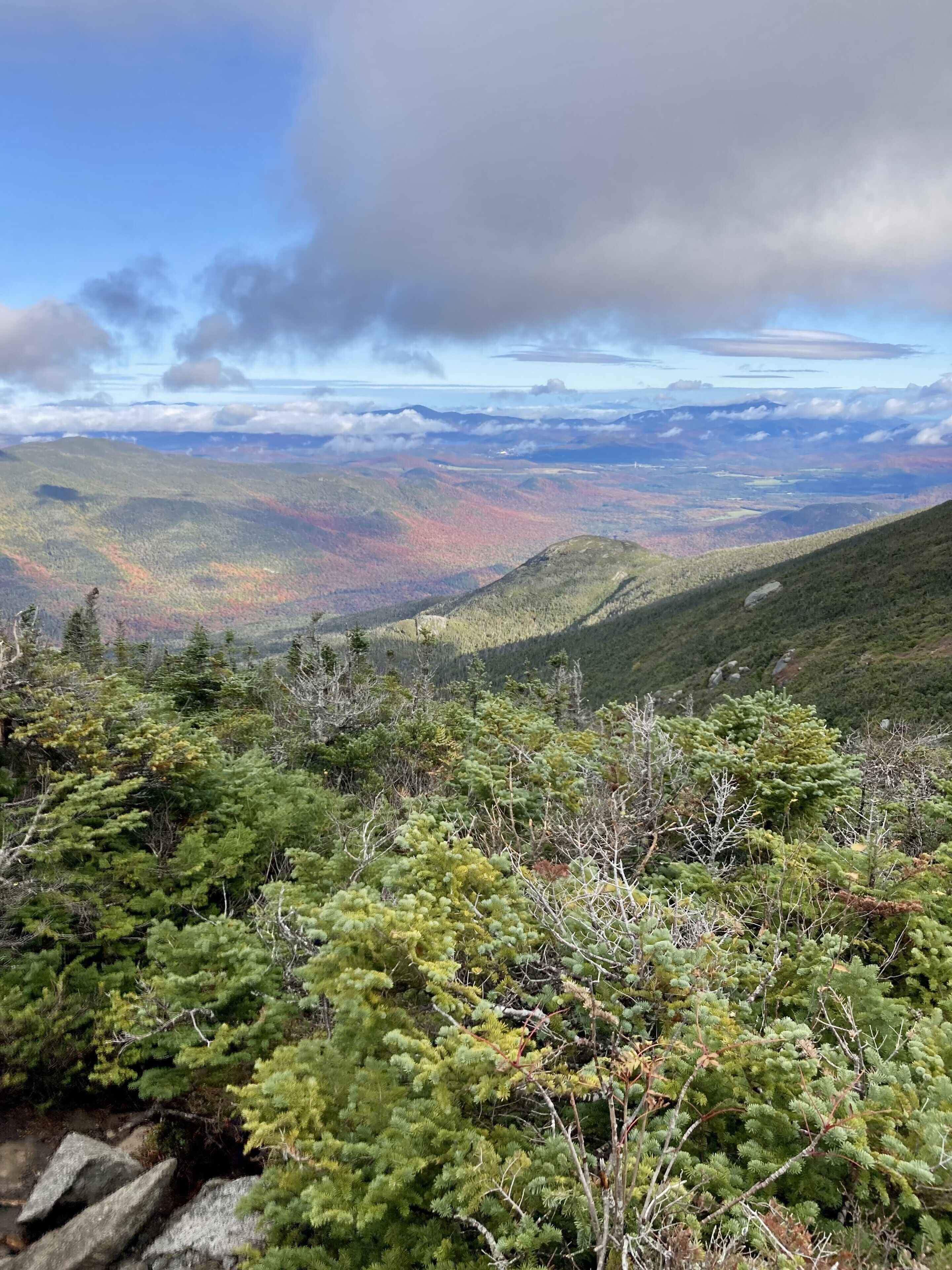 Eine gebirgige Landschaft mit dichtem Wald und Blick auf ferne Hügel.