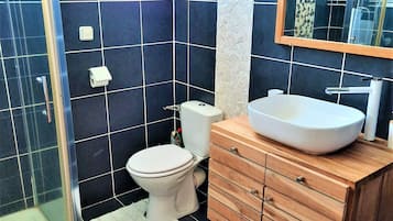 Ein Badezimmer mit Dusche, Toilette, Waschbecken und Spiegel.