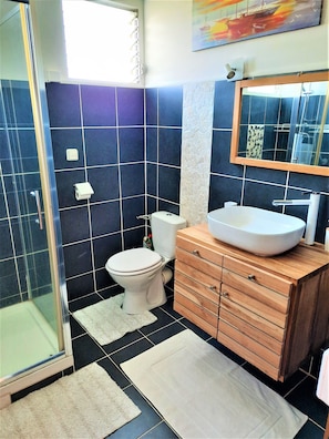 Shower, hair dryer, towels, soap