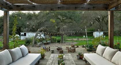 Healdsburg Homestead with Pool, Hot Tub and Tastings Included