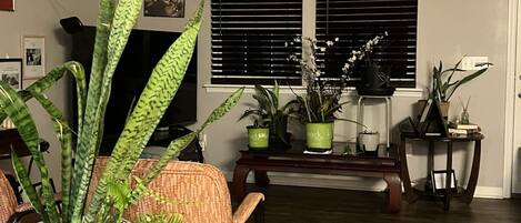 Fernseher, DVD-Player, Bücher, Stereoanlage