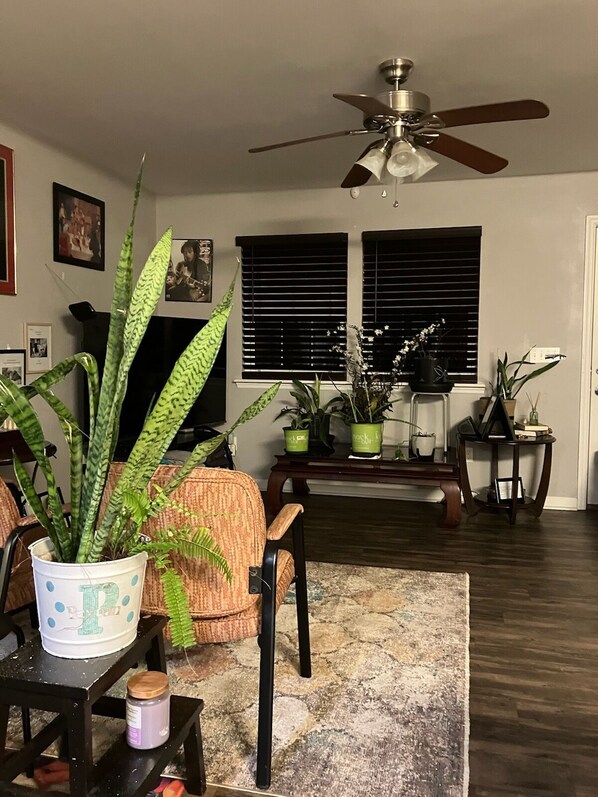 Télévision, lecteur de DVD, livres, chaîne hi-fi