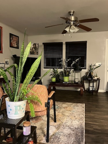 Fsu, Famu, Tally Airport, City Life in Tallahassee quiet living just quick ride.