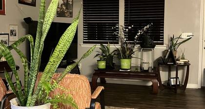 Fsu, Famu, Tally Airport, City Life in Tallahassee quiet living just quick ride.