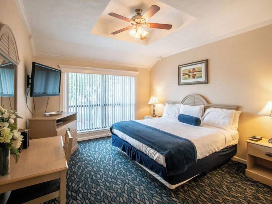 Habitación de hotel con cama, lámparas de noche, escritorio con silla, televisión y ventana con persianas.