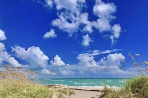 Playa en los alrededores, camastros y toallas de playa 