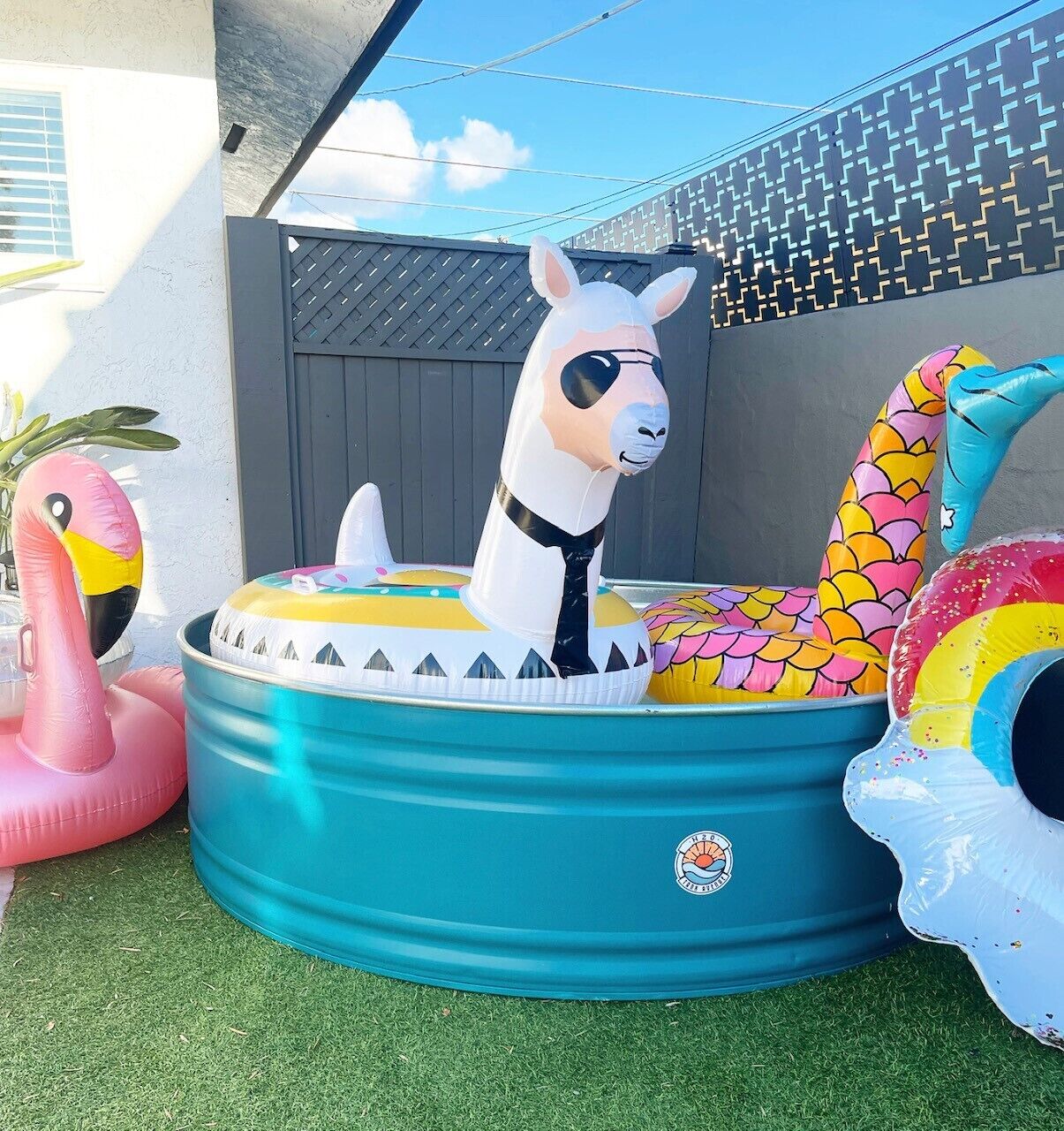 A pool with inflatable toys including a llama, flamingo, and fish.