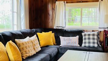 TV, fireplace, books, stereo