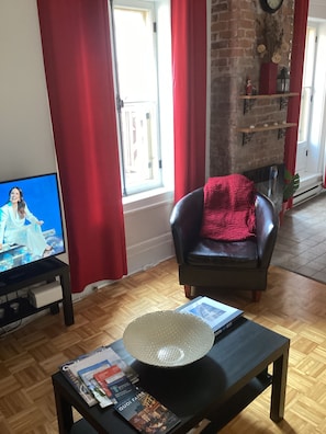 Smart TV, fireplace, books