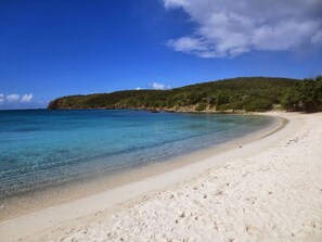 Playa en los alrededores, camastros y toallas de playa 