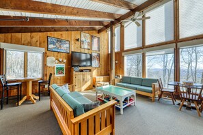 TV, fireplace, DVD player, ping pong