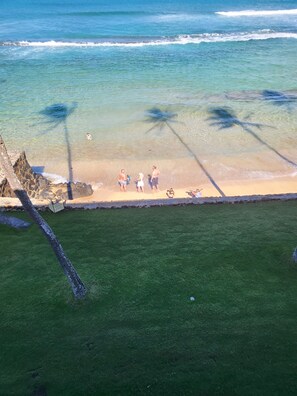 Une plage bordée de palmiers, un panneau d’avertissement et des gens.