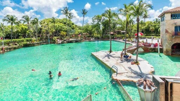 Une grande piscine extérieure entourée de palmiers et un bâtiment doté d’un toit en tuiles.