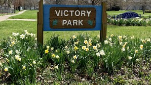 A wooden sign with "VICTORY PARK" written on it, surrounded by daffodils.