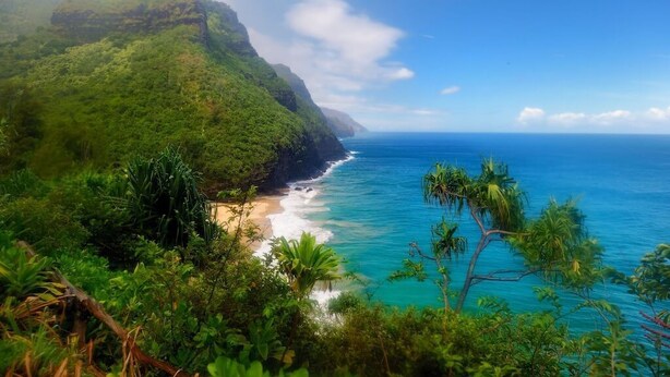 Un paysage côtier avec une plage, une végétation luxuriante et une vue dégagée sur l’océan.