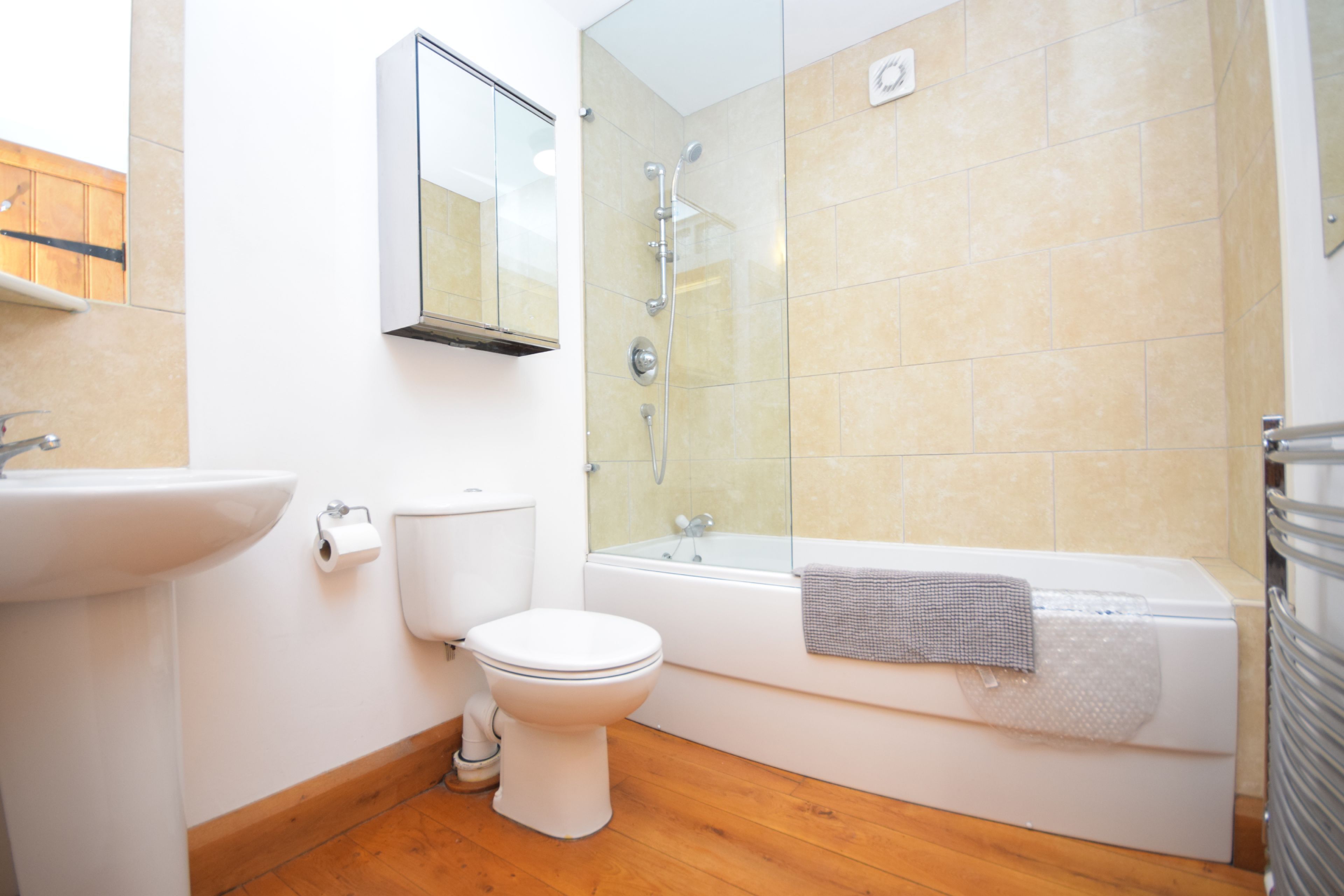 Combined shower/bathtub, hair dryer