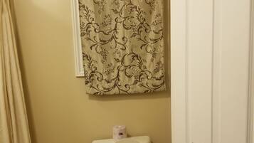 A bathroom with a toilet, a shower curtain, and a door.