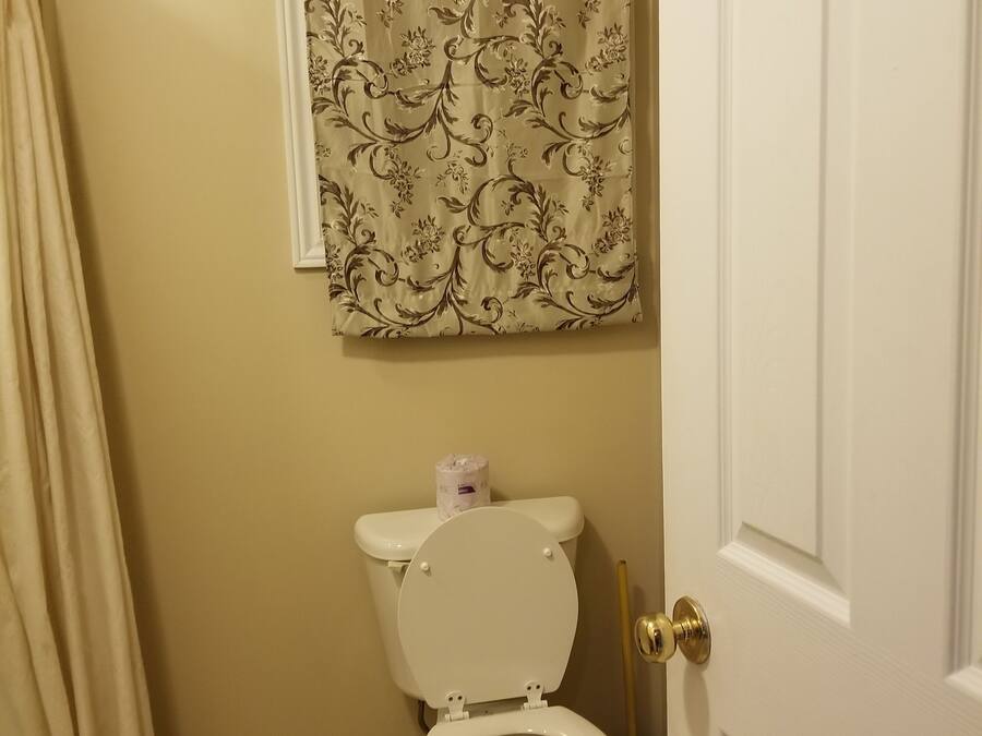 A bathroom with a toilet, a shower curtain, and a door.