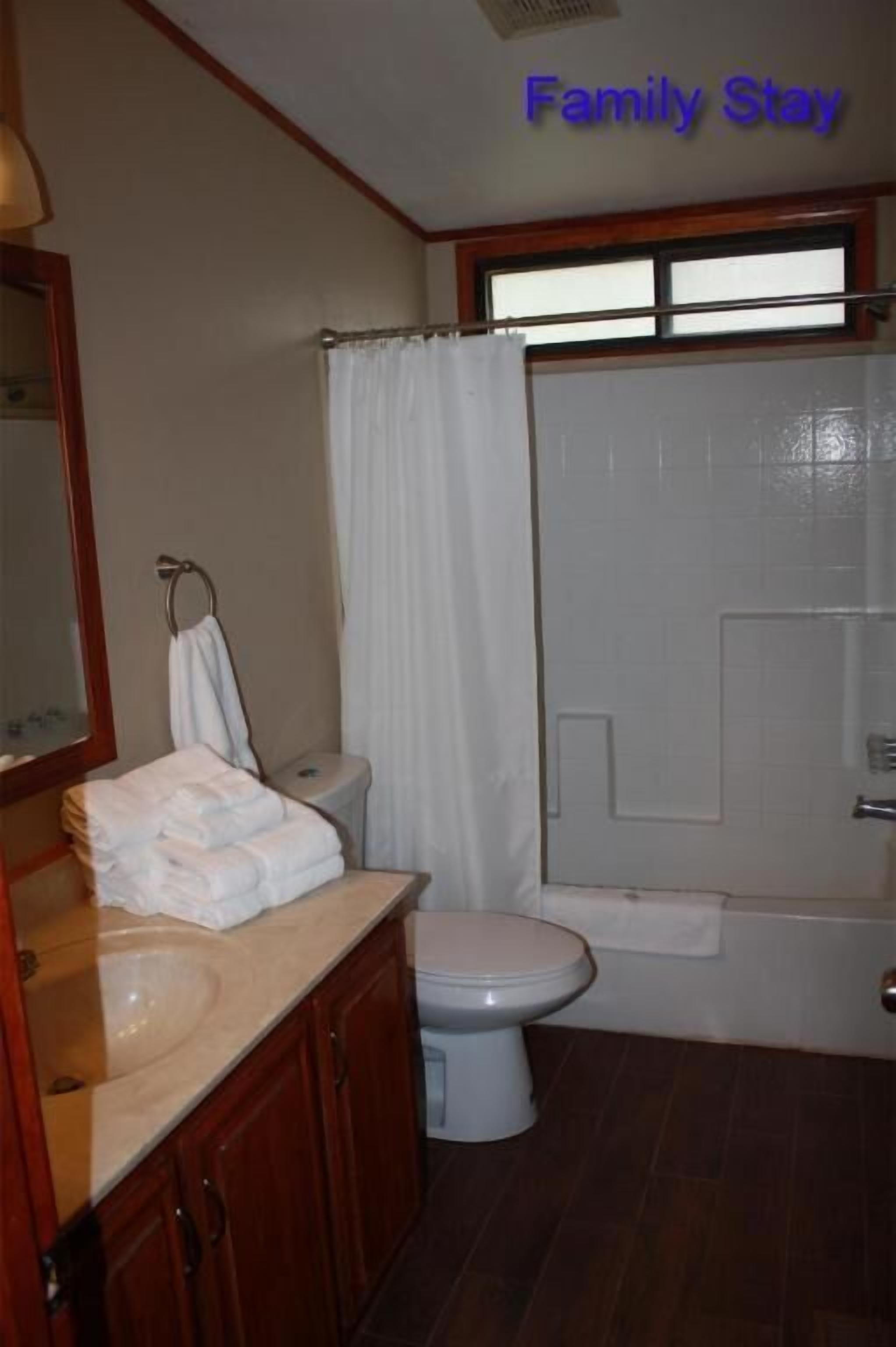 A bathroom with a toilet, sink, and shower curtain.