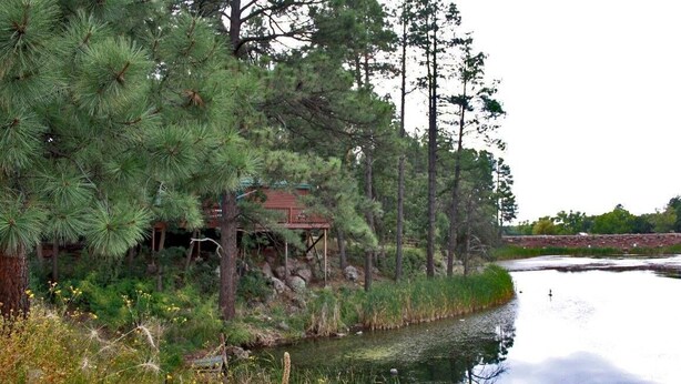 A rustic cabin surrounded by dense pine trees and a calm river. - Lumbermens Village (Lakeside)