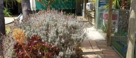 Enceinte de lâhĂ©bergement