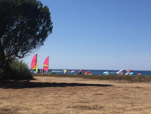 Ein Strand mit Windsurfgeräten und Sonnenschirmen.