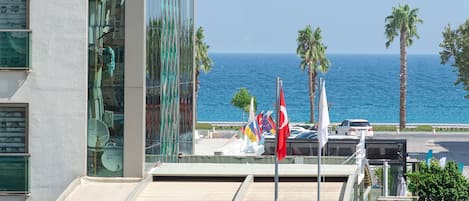 Vista desde la propiedad