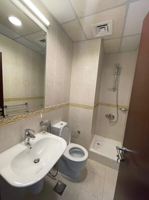 Ducha y bañera combinadas, bañera de hidromasaje, secador de pelo y bidé